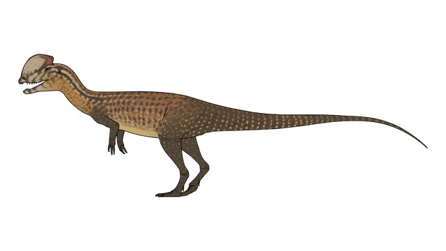 Dilophosaurus