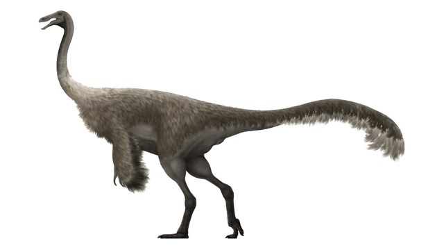 Gallimimus