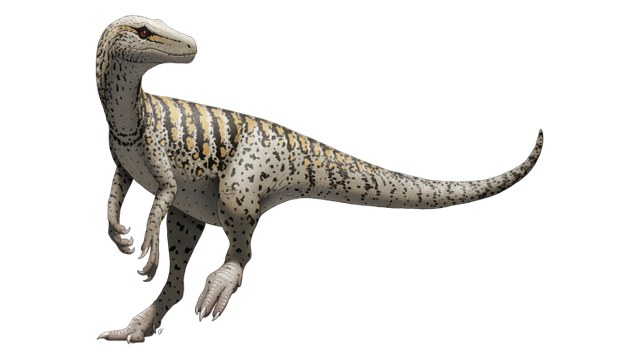 Herrerasaurus